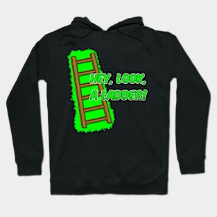 Hey Look, A Ladder! Hoodie